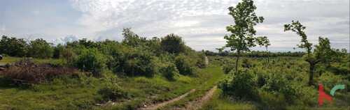 Thumbnail 6230307 - 14