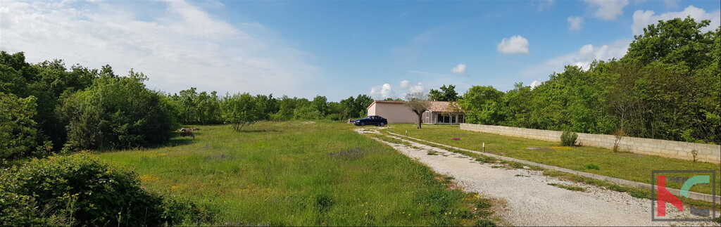 Image 6230307 - 3