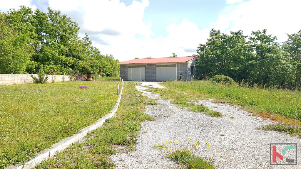 Image 6230307 - 4