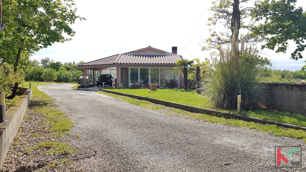 Image 6230307 - 1