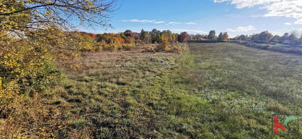Image 6230308 - 1