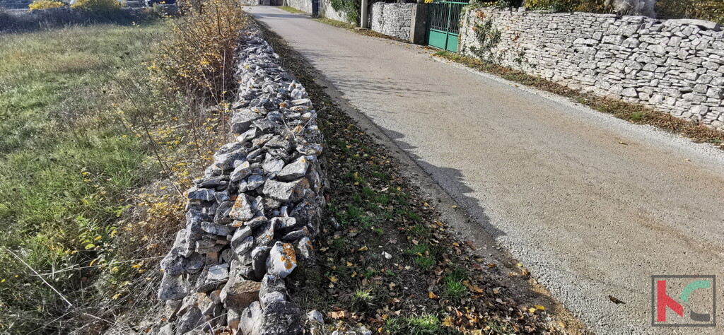 Image 6230308 - 5
