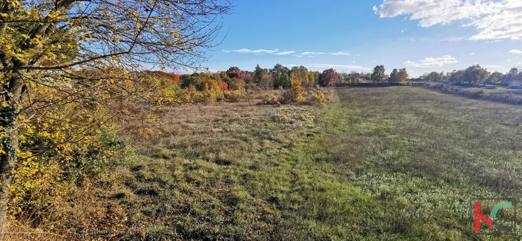 Image 6230308 - 6