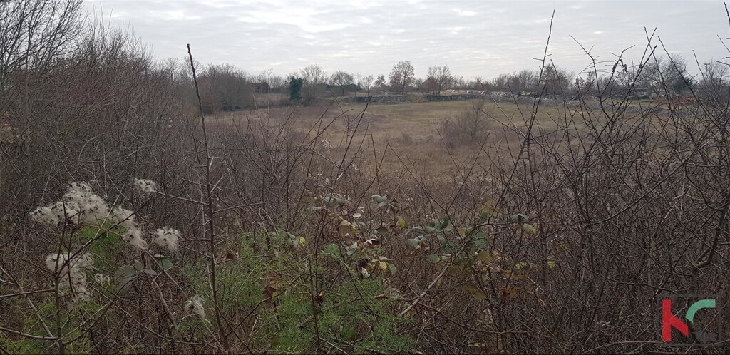 Image 6230308 - 2