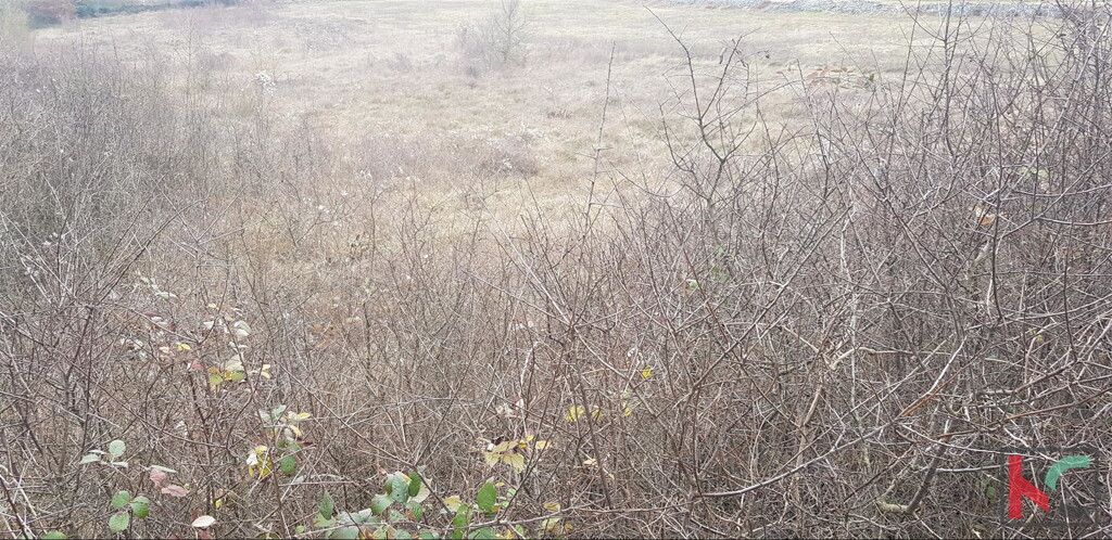 Image 6230308 - 3