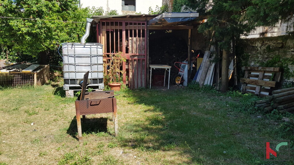 Image 6230309 - 10