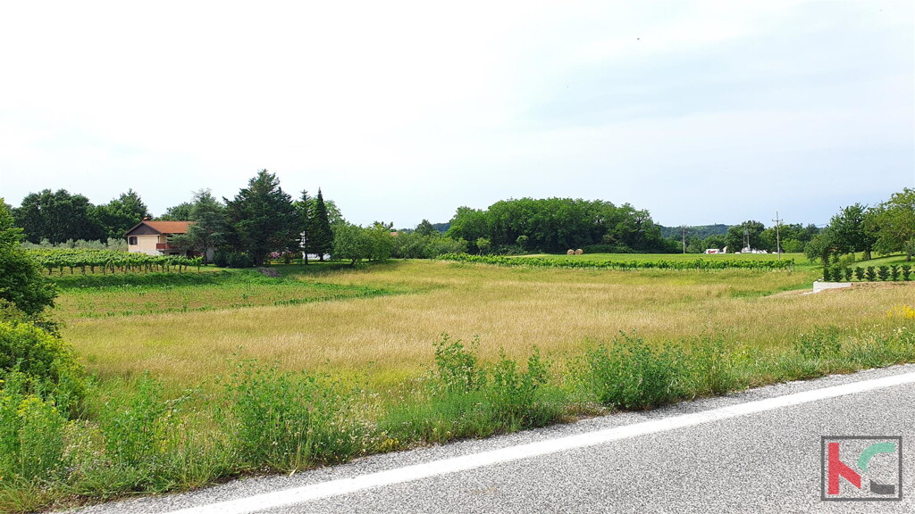 Image 6230313 - 2