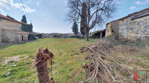 Thumbnail 6230315 - 7