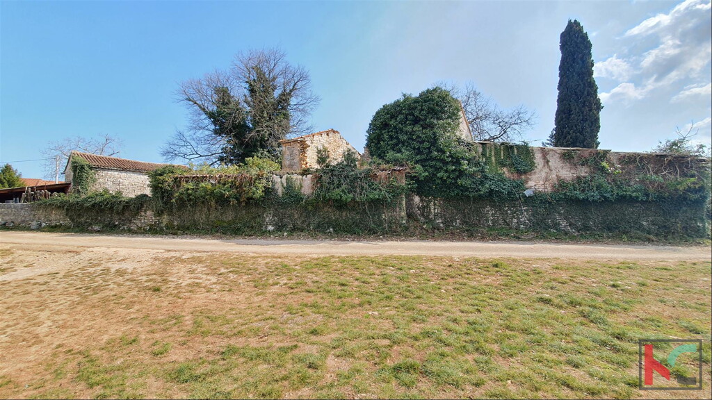 Image 6230315 - 5