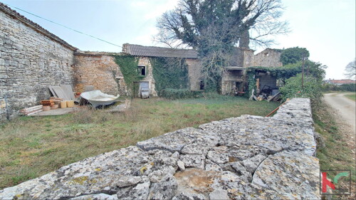 Thumbnail 6230315 - 11