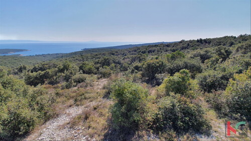 Thumbnail 6230317 - 4