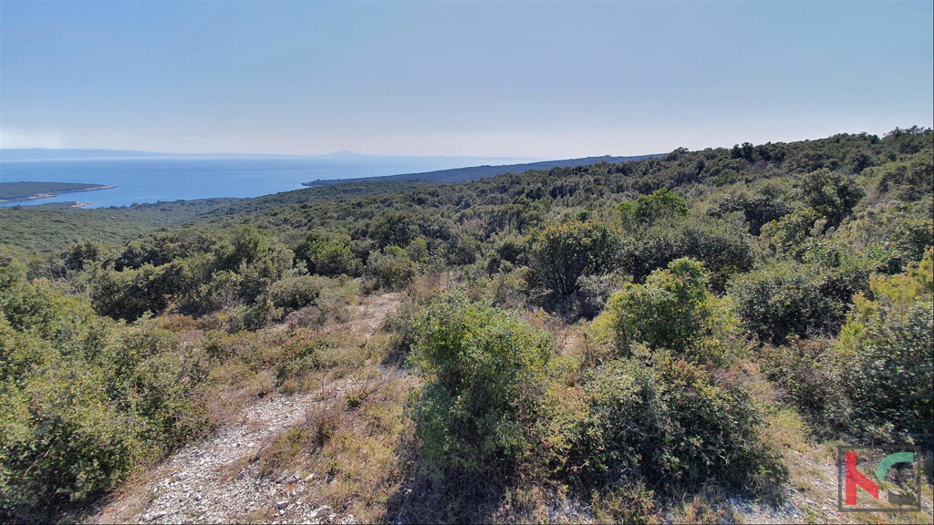 Image 6230317 - 4