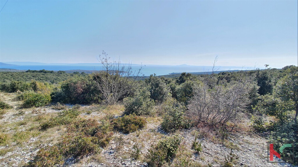 Image 6230317 - 3