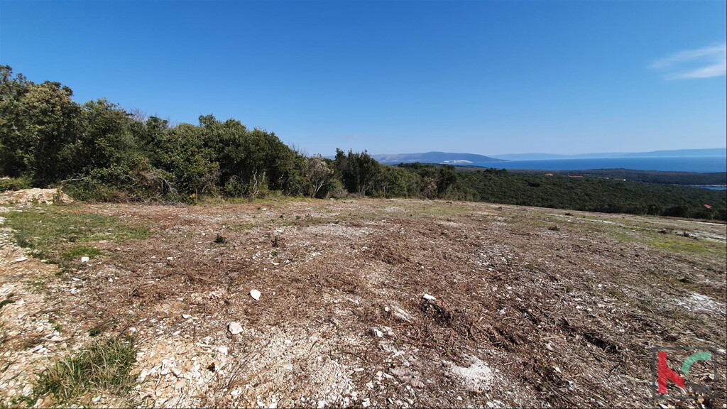 Image 6230317 - 5