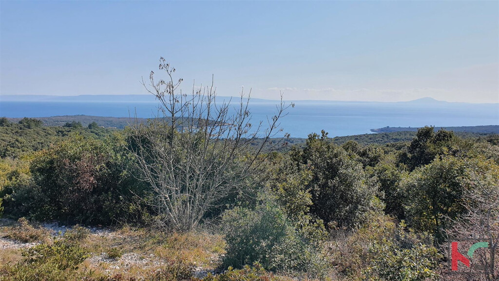 Image 6230317 - 2