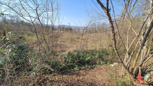 Thumbnail 6230318 - 4