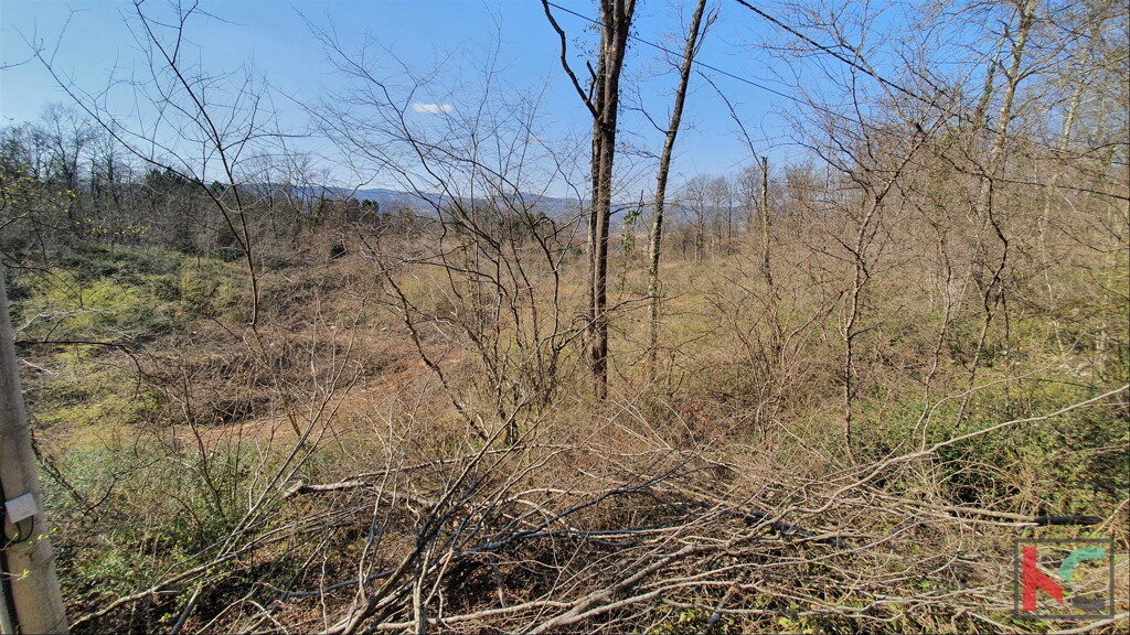 Image 6230318 - 3