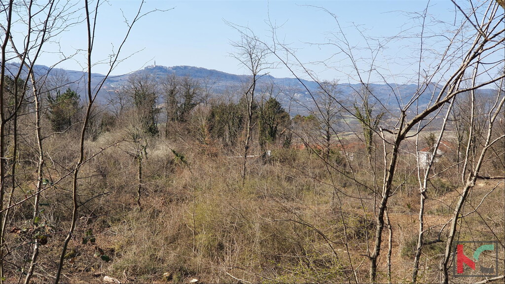 Image 6230318 - 5