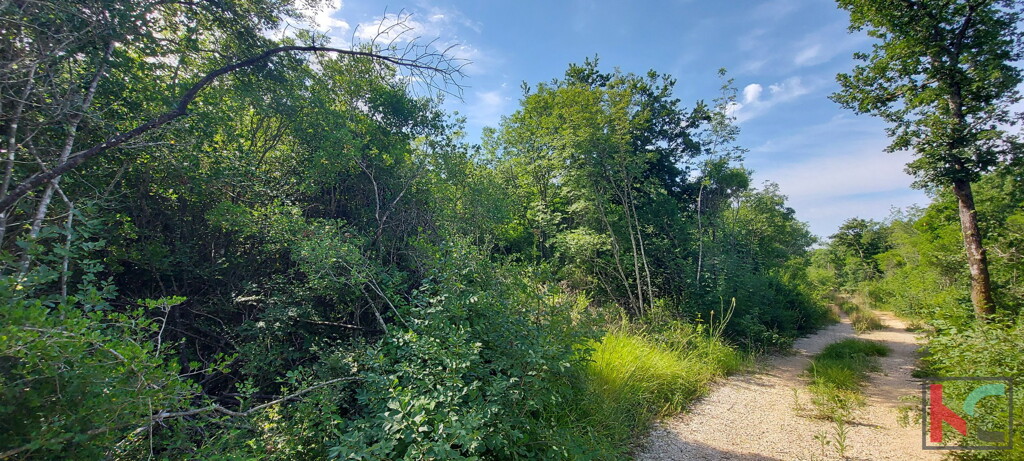 Image 6230321 - 3