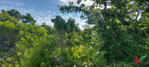 Thumbnail 6230321 - 4