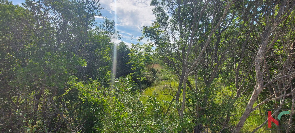 Image 6230321 - 2