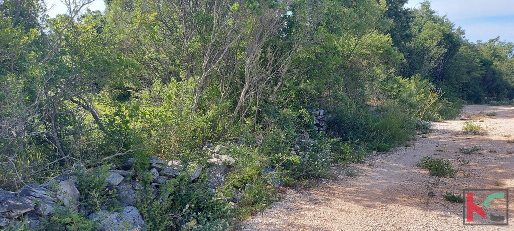 Image 6230321 - 1