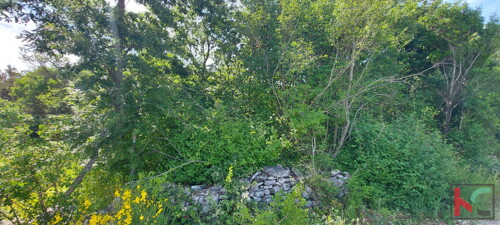 Thumbnail 6230321 - 5