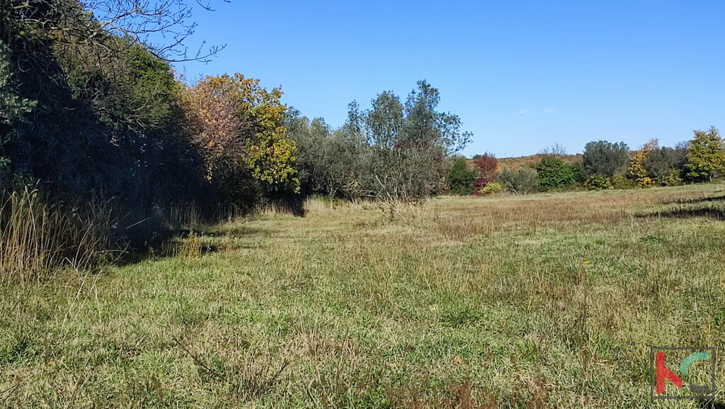 Image 6230323 - 2