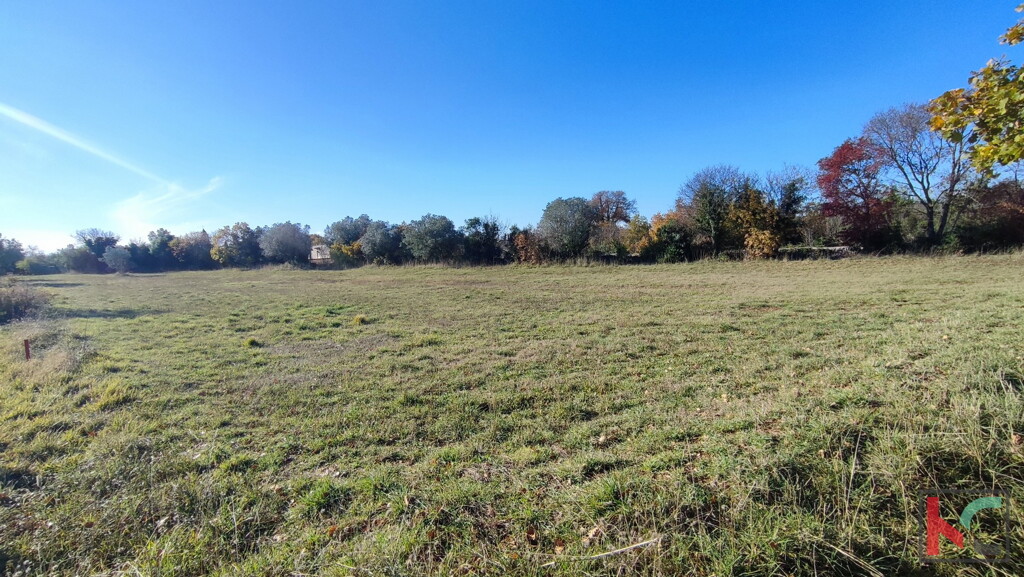 Image 6230323 - 5