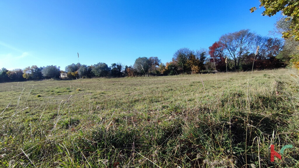 Image 6230323 - 1