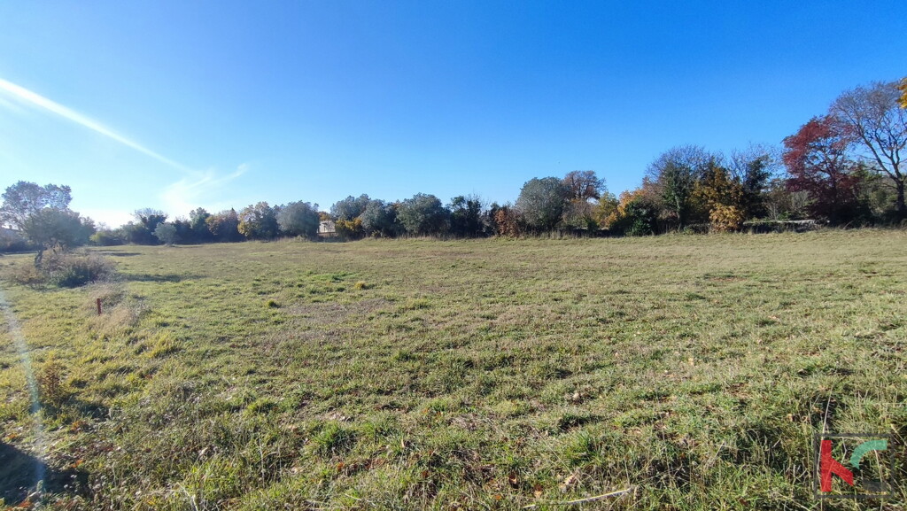Image 6230323 - 4