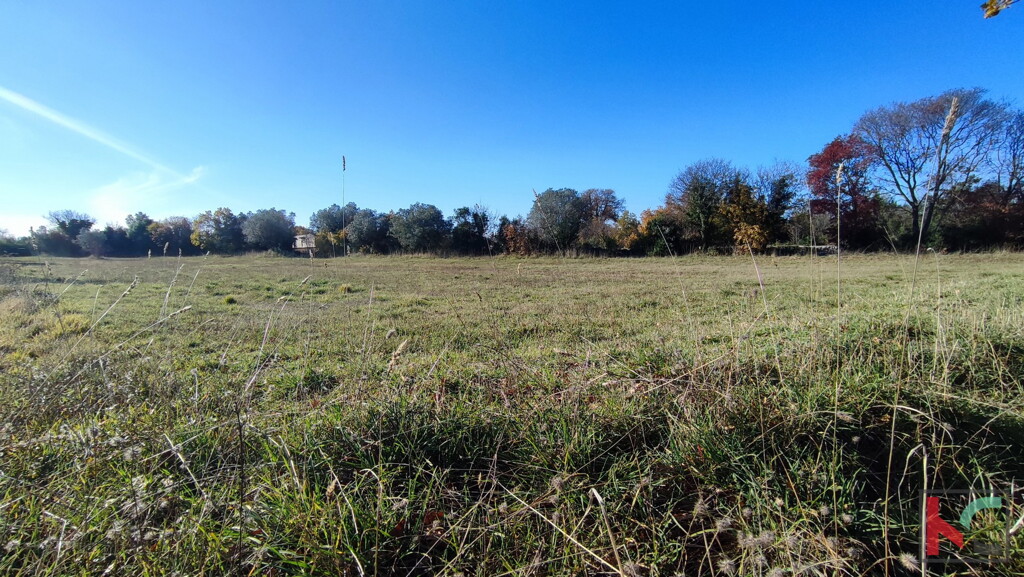 Image 6230323 - 3