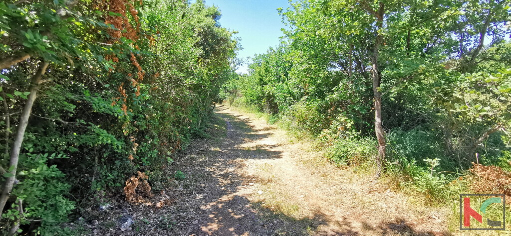 Image 6230324 - 6