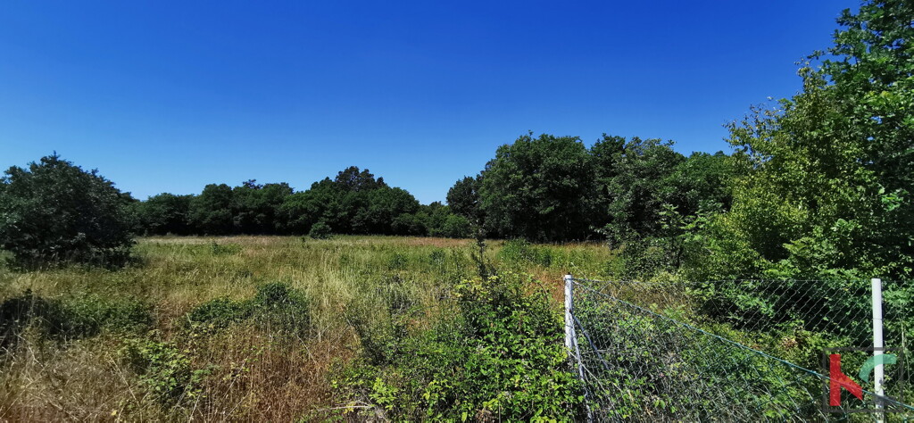 Image 6230324 - 1