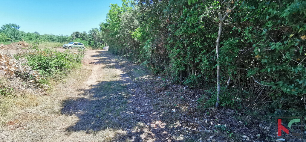 Image 6230324 - 5