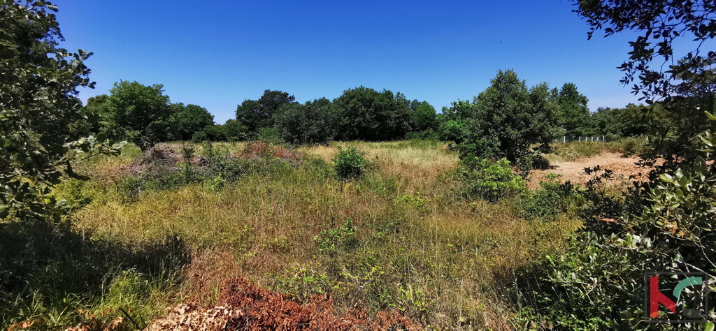 Image 6230324 - 3