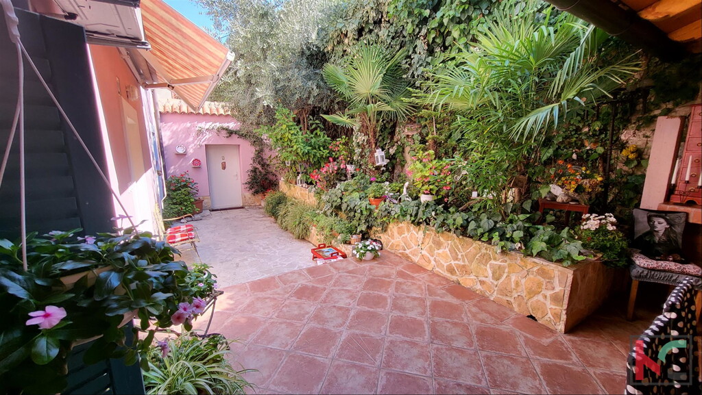 Image 6230327 - 8