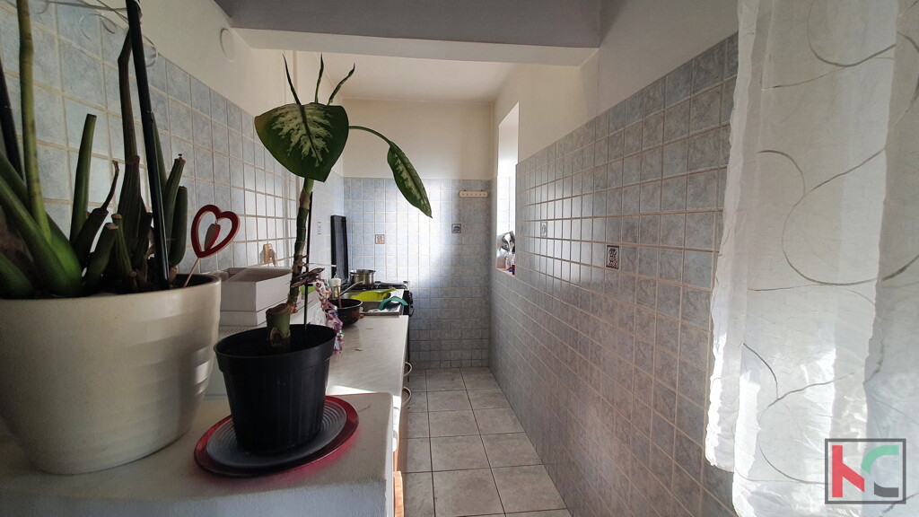 Image 6230329 - 3