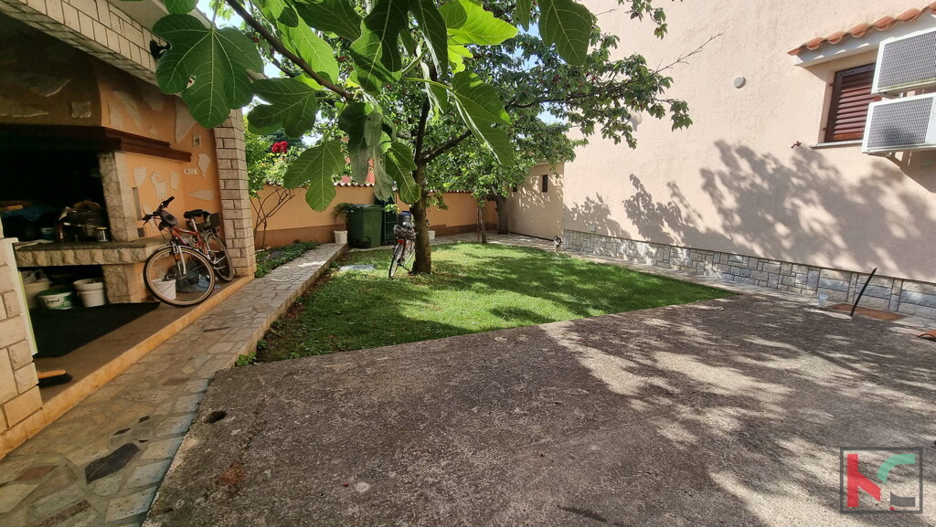 Image 6230330 - 4