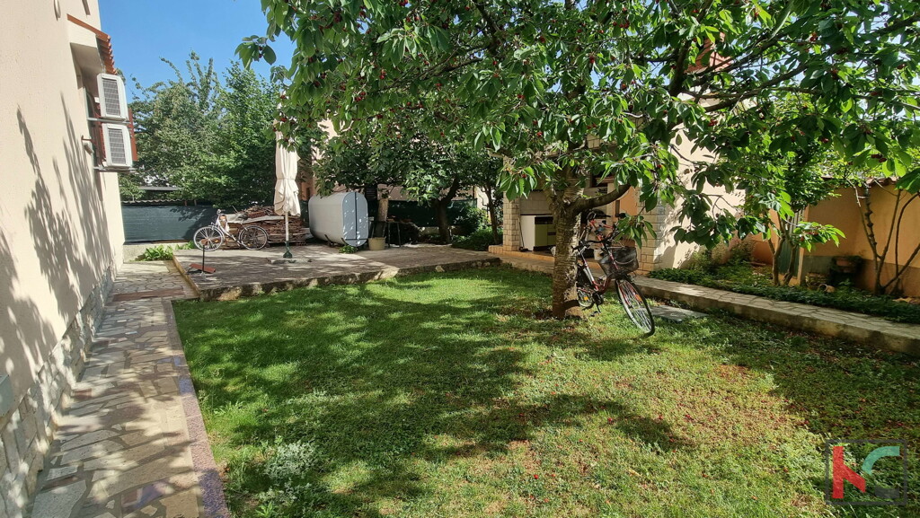 Image 6230330 - 2