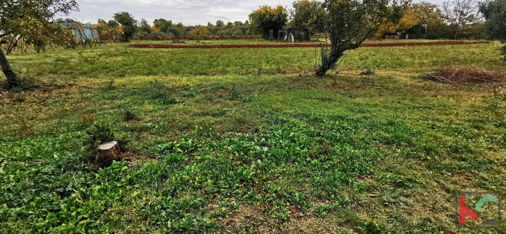 Image 6230332 - 1