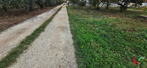 Thumbnail 6230332 - 2