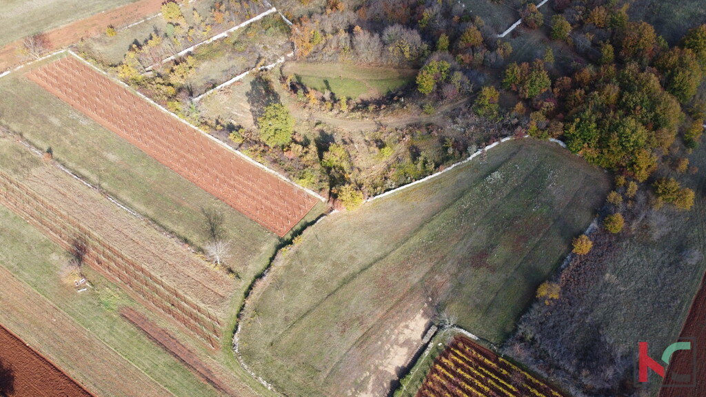 Image 6230334 - 3
