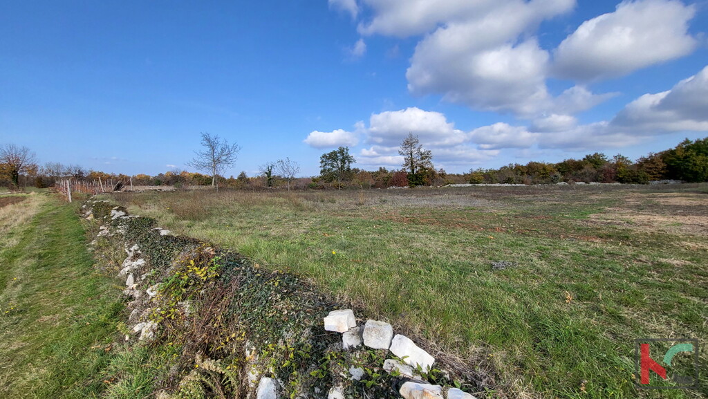 Image 6230334 - 2