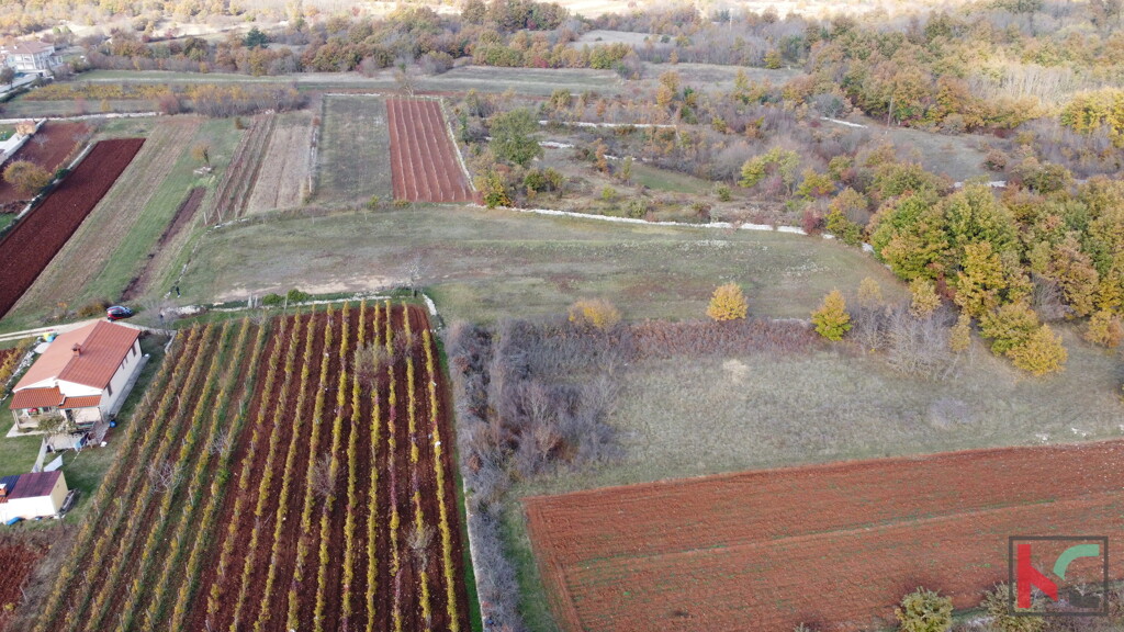Image 6230334 - 6