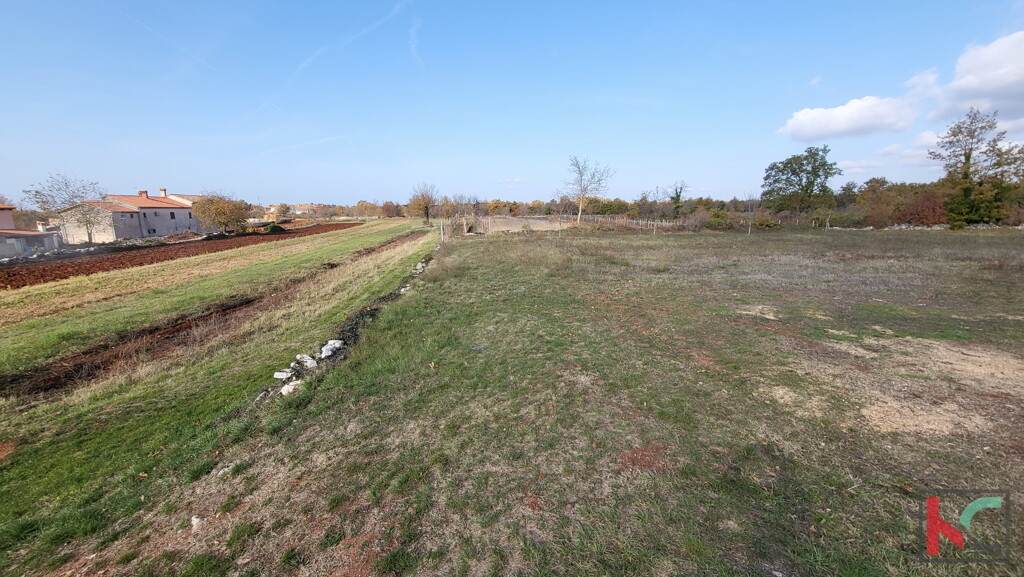 Image 6230334 - 4