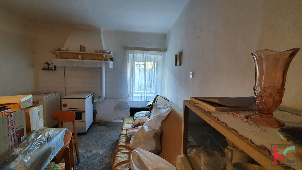 Image 6230338 - 4
