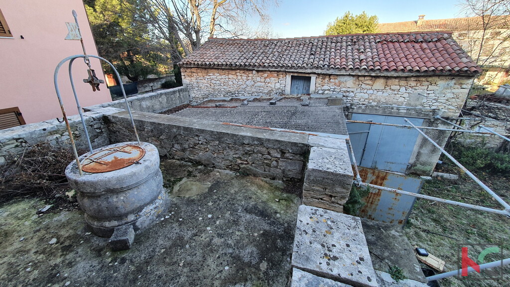 Image 6230338 - 2