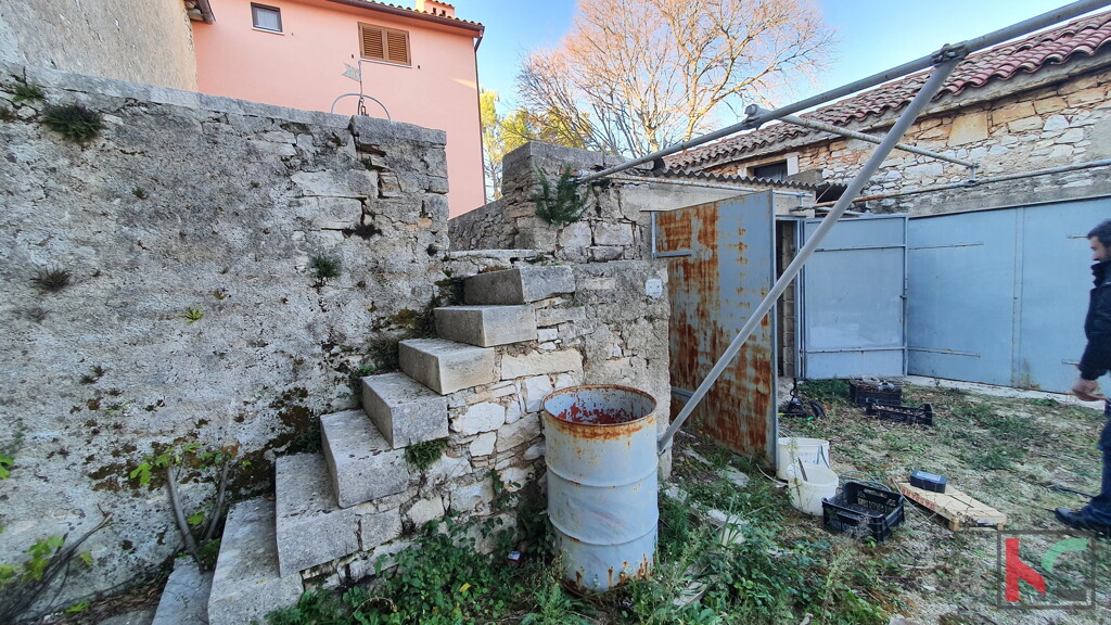 Image 6230338 - 3
