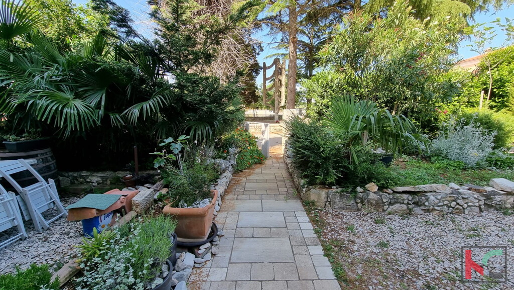 Image 6230345 - 13